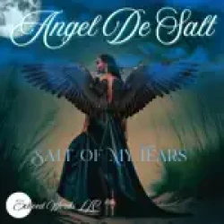 Angel De Salt - You're Not Ready For Me