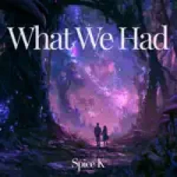 SpiceK - What We Had