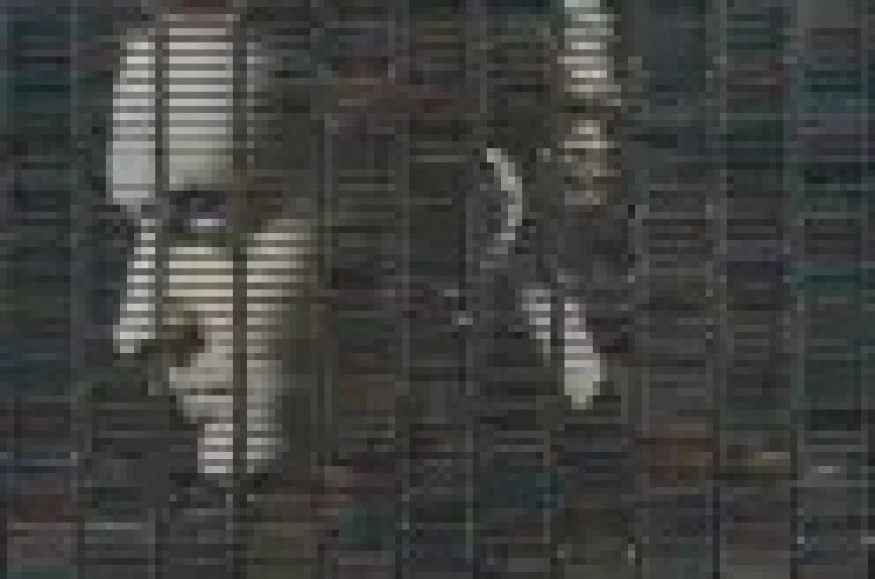 Stephan Eicher - Sauvage Continent