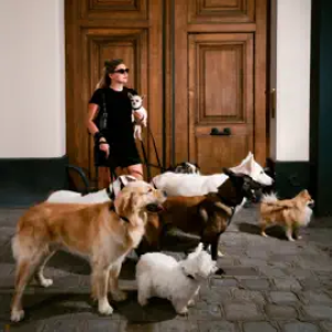 Louane - Chiens